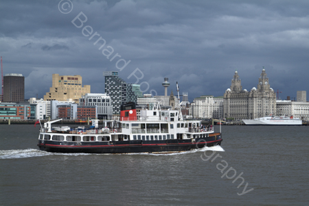 BRP_4731_1