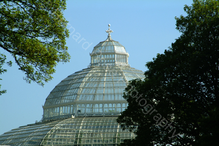 D517_palmhouse_01