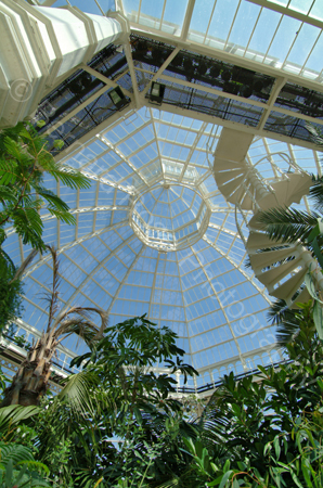D517_palmhouse_05
