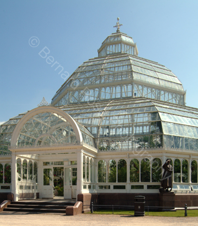 D517_palmhouse_07
