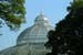D517_palmhouse_01