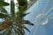 D517_palmhouse_03