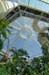 D517_palmhouse_05