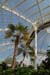 D517_palmhouse_06