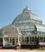 D517_palmhouse_07