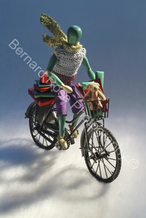 BRP113_08LayCycler