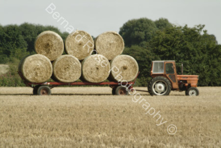 BRP113_13HayBales
