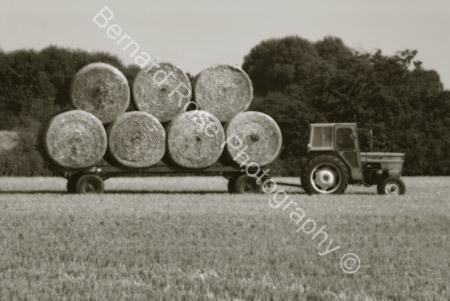 BRP113_14HayBales-sepia