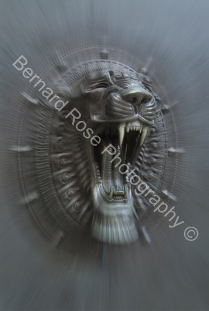 BRP113_38Lion1